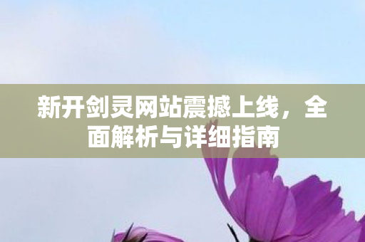 新开剑灵网站震撼上线，全面解析与详细指南