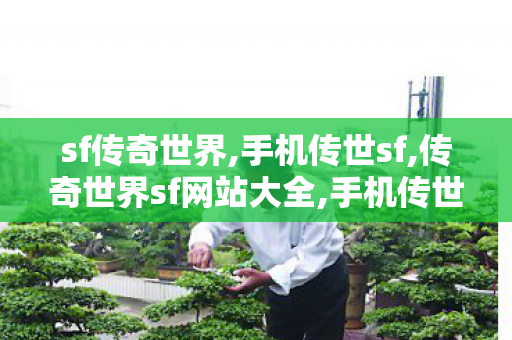 sf传奇世界,手机传世sf,传奇世界sf网站大全,手机传世sf