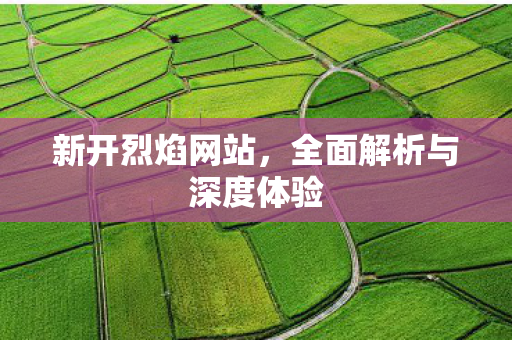 新开烈焰网站，全面解析与深度体验