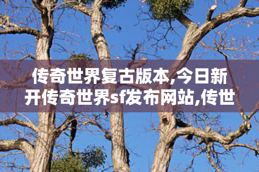 传奇世界复古版本,今日新开传奇世界sf发布网站,传世sf平台,今日新开传奇世界sf发布网站