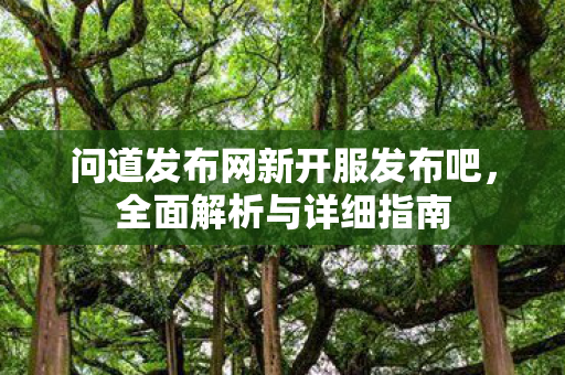 问道发布网新开服发布吧，全面解析与详细指南