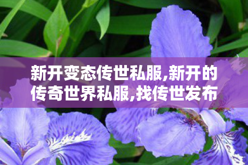 新开变态传世私服,新开的传奇世界私服,找传世发布网,新开的传奇世界私服
