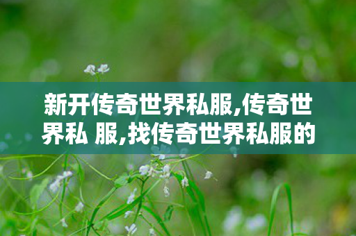 新开传奇世界私服,传奇世界私 服,找传奇世界私服的网站,传奇世界私 服