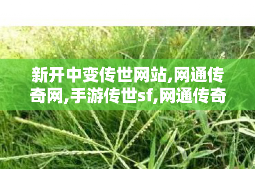 新开中变传世网站,网通传奇网,手游传世sf,网通传奇网