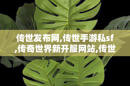 传世发布网,传世手游私sf,传奇世界新开服网站,传世手游私sf