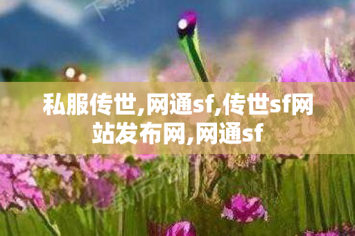 私服传世,网通sf,传世sf网站发布网,网通sf