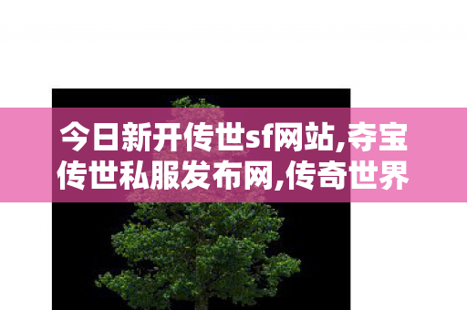 今日新开传世sf网站,夺宝传世私服发布网,传奇世界私服发布网站大全,夺宝传世私服发布网