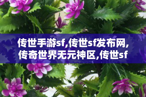 传世手游sf,传世sf发布网,传奇世界无元神区,传世sf发布网