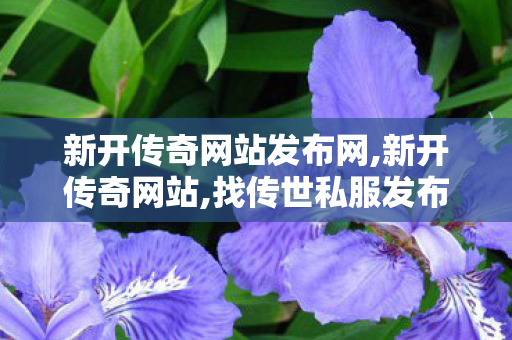 新开传奇网站发布网,新开传奇网站,找传世私服发布网站,新开传奇网站