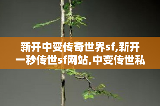 新开中变传奇世界sf,新开一秒传世sf网站,中变传世私发服网,新开一秒传世sf网站