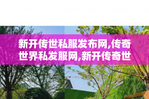 新开传世私服发布网,传奇世界私发服网,新开传奇世界网站刚开一秒,传奇世界私发服网