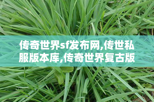 传奇世界sf发布网,传世私服版本库,传奇世界复古版本,传世私服版本库
