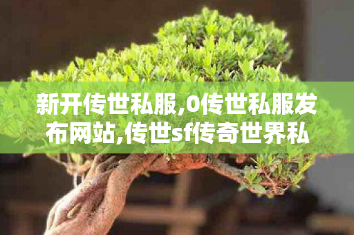 新开传世私服,0传世私服发布网站,传世sf传奇世界私服网,0传世私服发布网站