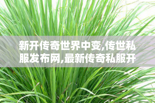 新开传奇世界中变,传世私服发布网,最新传奇私服开服网,传世私服发布网