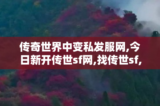 传奇世界中变私发服网,今日新开传世sf网,找传世sf,今日新开传世sf网