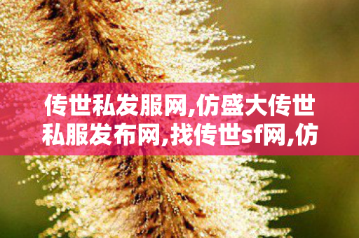 传世私发服网,仿盛大传世私服发布网,找传世sf网,仿盛大传世私服发布网