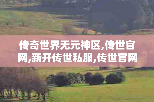 传奇世界无元神区,传世官网,新开传世私服,传世官网