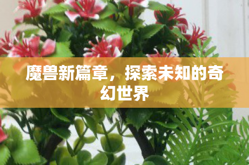 魔兽新篇章，探索未知的奇幻世界