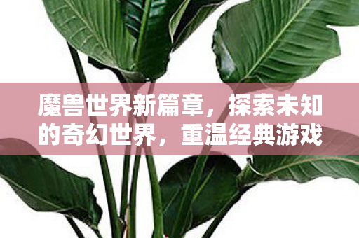 魔兽世界新篇章，探索未知的奇幻世界，重温经典游戏体验