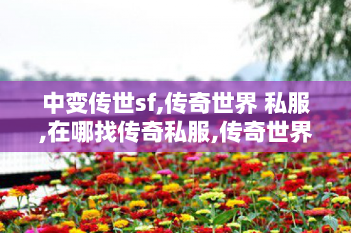 中变传世sf,传奇世界 私服,在哪找传奇私服,传奇世界 私服