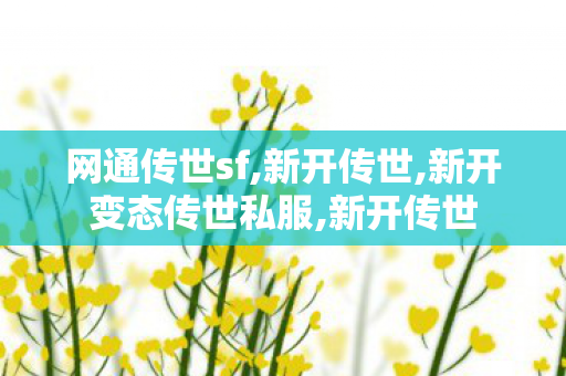 网通传世sf,新开传世,新开变态传世私服,新开传世