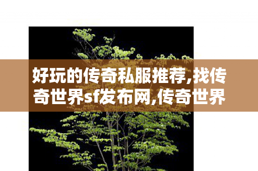 好玩的传奇私服推荐,找传奇世界sf发布网,传奇世界最新版本,找传奇世界sf发布网