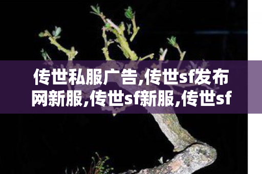 传世私服广告,传世sf发布网新服,传世sf新服,传世sf发布网新服