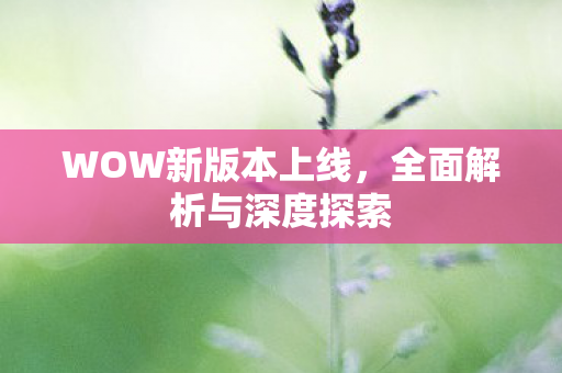 WOW新版本上线，全面解析与深度探索