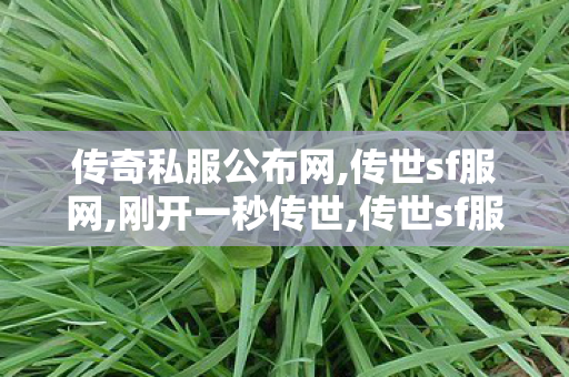 传奇私服公布网,传世sf服网,刚开一秒传世,传世sf服网