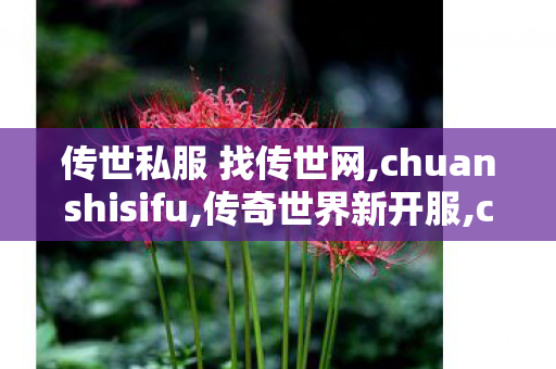 传世私服 找传世网,chuanshisifu,传奇世界新开服,chuanshisifu