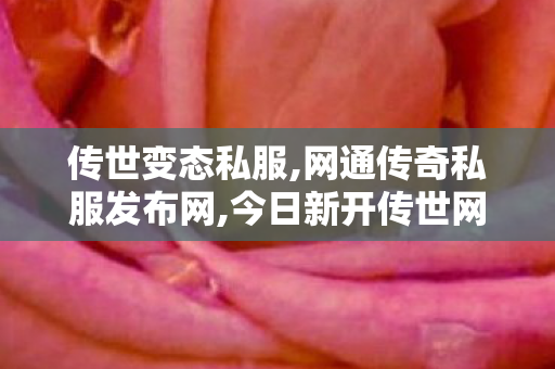 传世变态私服,网通传奇私服发布网,今日新开传世网,网通传奇私服发布网