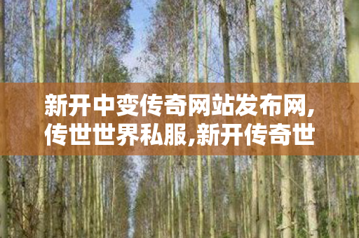 新开中变传奇网站发布网,传世世界私服,新开传奇世界私服刚开一秒,传世世界私服