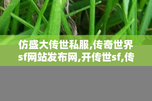 仿盛大传世私服,传奇世界sf网站发布网,开传世sf,传奇世界sf网站发布网