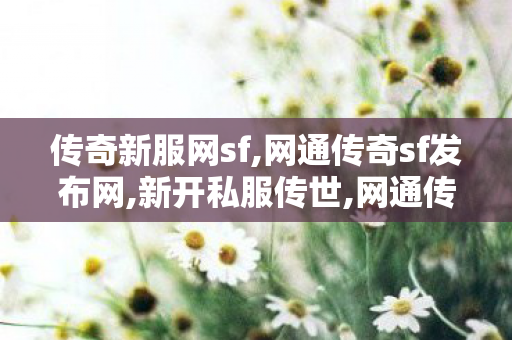 传奇新服网sf,网通传奇sf发布网,新开私服传世,网通传奇sf发布网