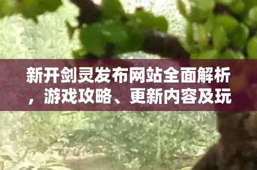 新开剑灵发布网站全面解析，游戏攻略、更新内容及玩家福利一网打尽