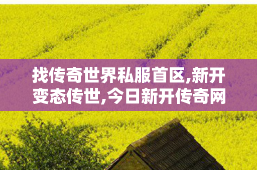 找传奇世界私服首区,新开变态传世,今日新开传奇网站发布网,新开变态传世