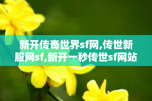 新开传奇世界sf网,传世新服网sf,新开一秒传世sf网站,传世新服网sf