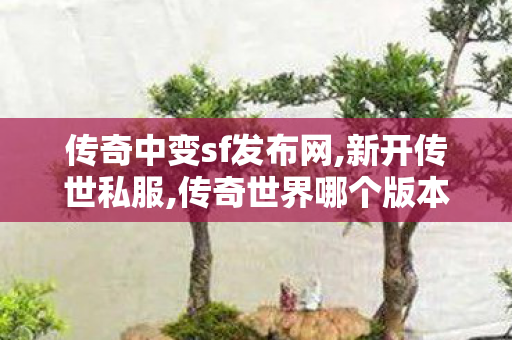传奇中变sf发布网,新开传世私服,传奇世界哪个版本好玩,新开传世私服