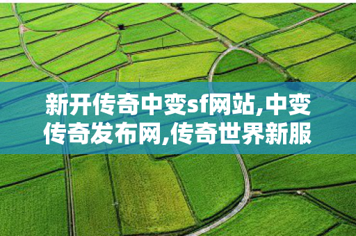 新开传奇中变sf网站,中变传奇发布网,传奇世界新服,中变传奇发布网