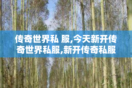 传奇世界私 服,今天新开传奇世界私服,新开传奇私服发布网站,今天新开传奇世界私服