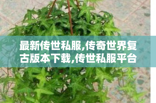 最新传世私服,传奇世界复古版本下载,传世私服平台大全,传奇世界复古版本下载