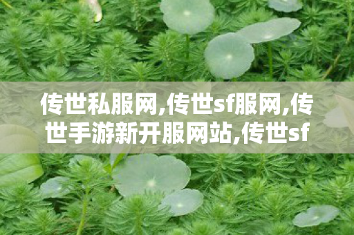 传世私服网,传世sf服网,传世手游新开服网站,传世sf服网