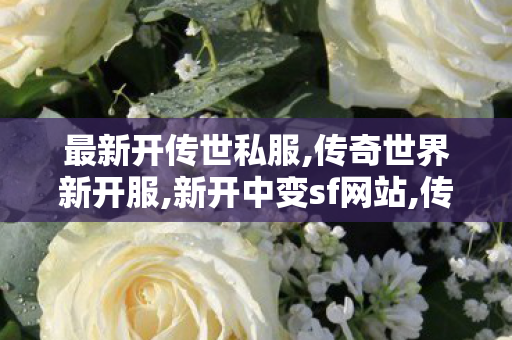 最新开传世私服,传奇世界新开服,新开中变sf网站,传奇世界新开服