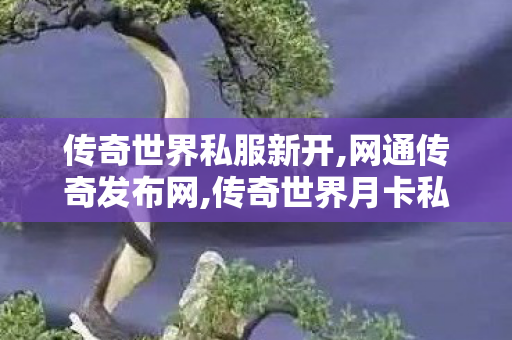 传奇世界私服新开,网通传奇发布网,传奇世界月卡私服,网通传奇发布网