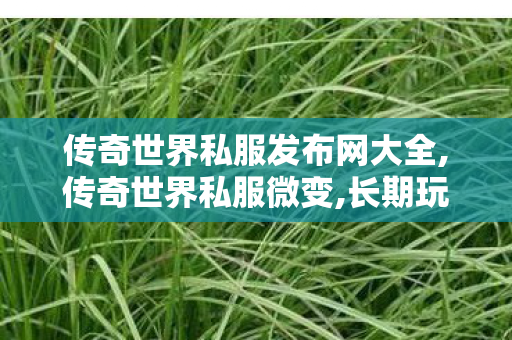 传奇世界私服发布网大全,传奇世界私服微变,长期玩的传奇私服,传奇世界私服微变
