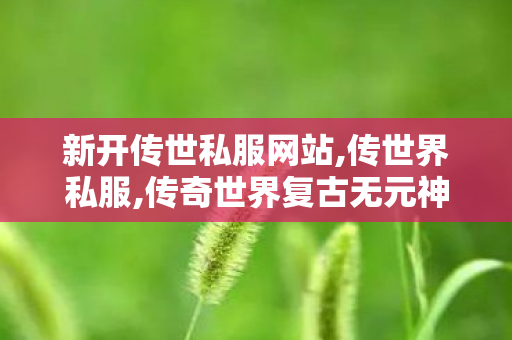 新开传世私服网站,传世界私服,传奇世界复古无元神,传世界私服
