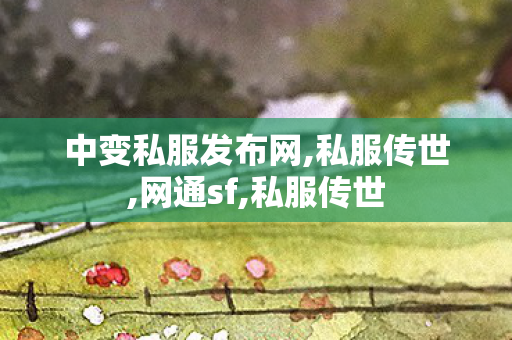 中变私服发布网,私服传世,网通sf,私服传世