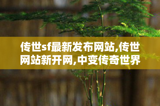 传世sf最新发布网站,传世网站新开网,中变传奇世界私服,传世网站新开网