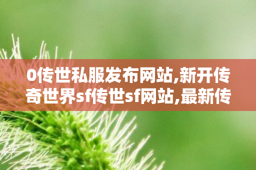 0传世私服发布网站,新开传奇世界sf传世sf网站,最新传奇世界,新开传奇世界sf传世sf网站