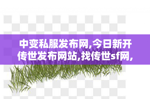 中变私服发布网,今日新开传世发布网站,找传世sf网,今日新开传世发布网站